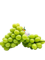 Produto Mel e Propolis