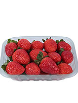 Produto Mel e Propolis